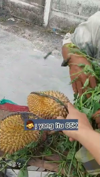 PERJUANGAN SEORANG AYAH MENAFKAHI KELUARGANYA 🥺🥺 || JUAL DURIAN #shorts
