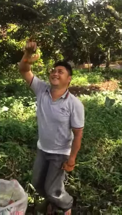 Goyang Rambutan 😁