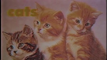 Massey University Open Day (Creative Media Production)