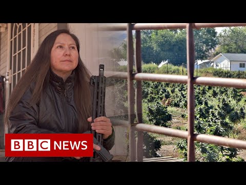 Cannabis boom and bust on Native American land - BBC Facts thumbnail