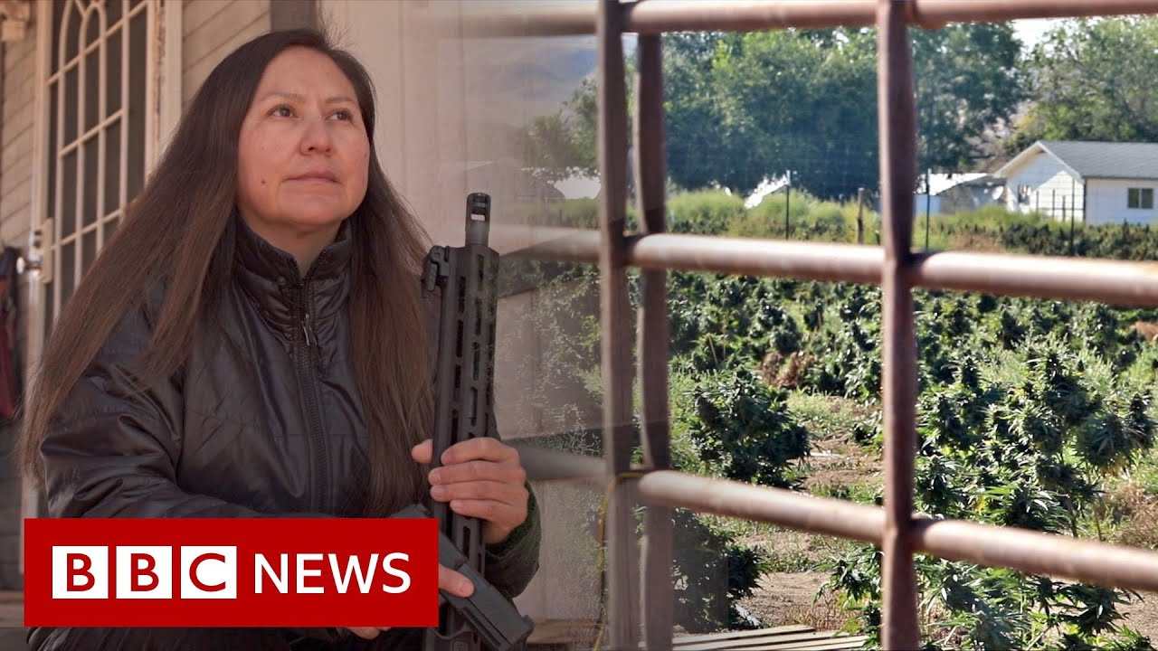 Cannabis boom and bust on Native American land - BBC News