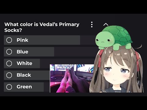What is Vedal's Programming Socks Primary Color?