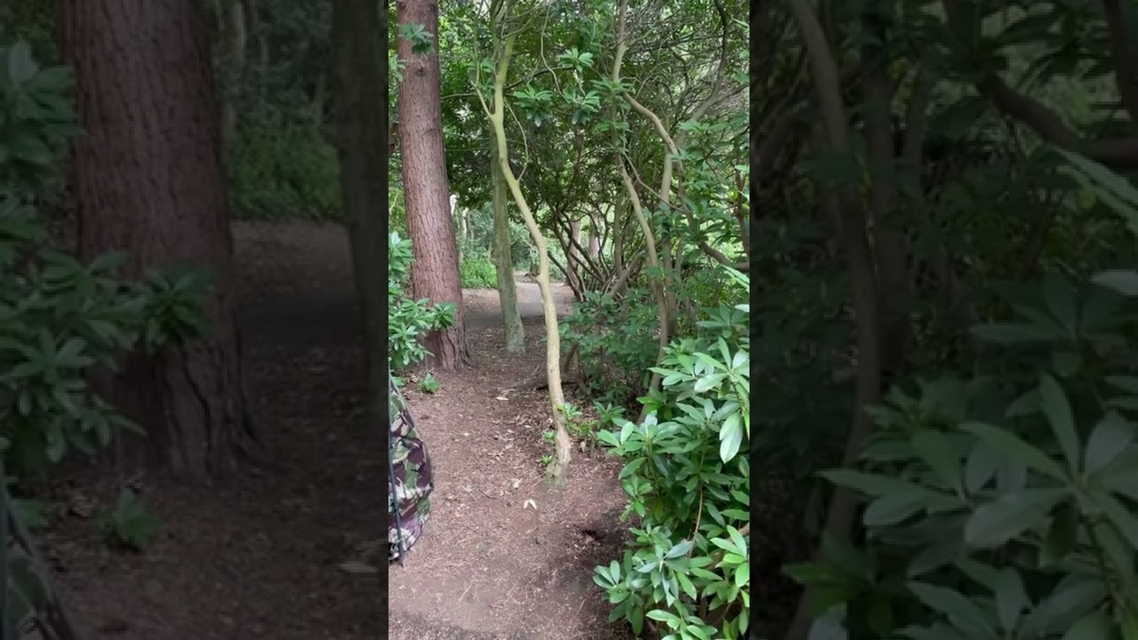 FISHING PRANK just watch him run CARP RUN BITE ALARMS WOLF ICON