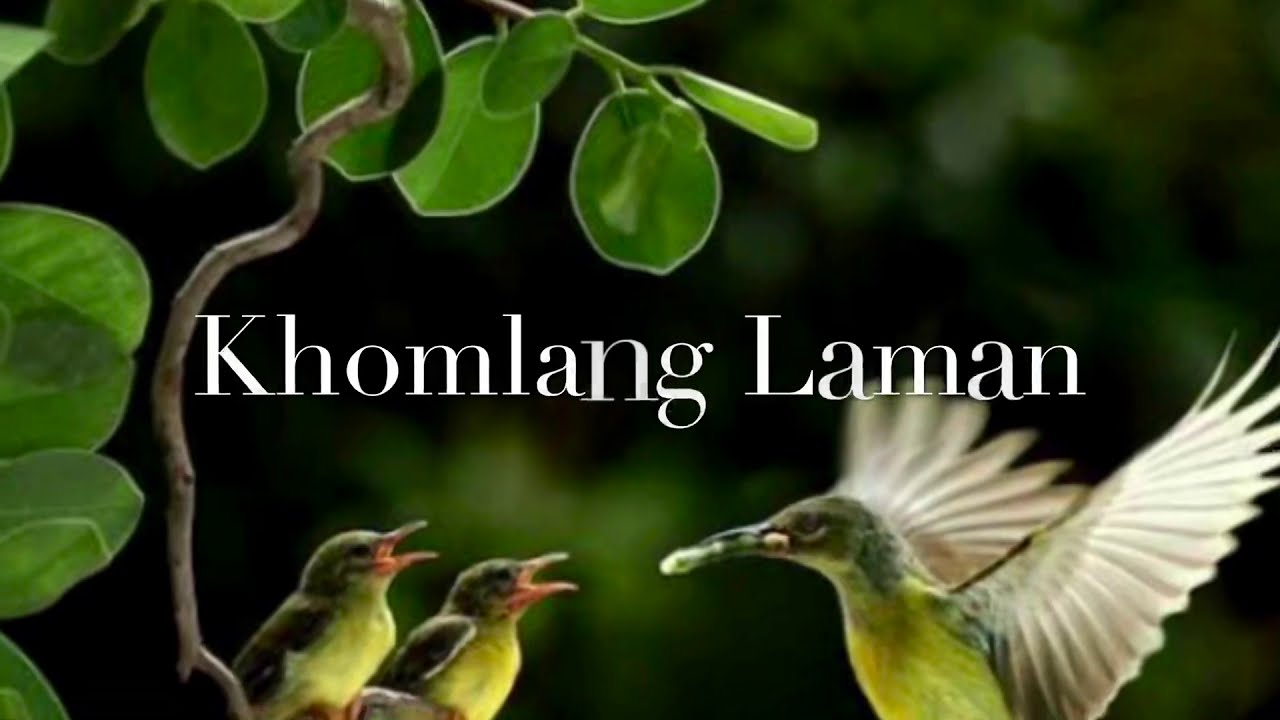 Khomlang Laman  Manipuri Patriotic Song  Nongmaithem Pahari with Lyrics