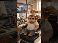Monkey Emotional story #monkey #shorts