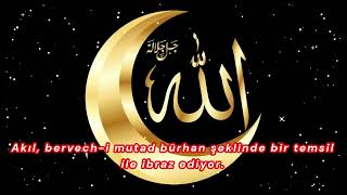 Akıl, Bervech - I Mutad Bürhan Şeklinde Bir Temsil Ile Ibraz Ediyor.