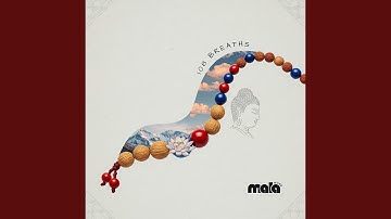 Mantra in Motion