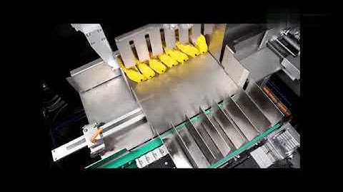 Wrap Around Case Packer