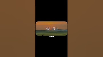 القارئ عبدالرحمن الزواوي || 🤍🌿#عبدالرحمن_الزواوي