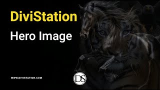 Hero Image - DiviStation