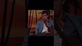 Celebrity Al Pacino - Scarface - “Hassa- Pig” Wealth