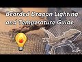 BEARDED DRAGON LIGHTING AND HEAT GUIDE (Please Read Description)