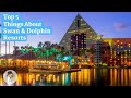 5 Reasons You'll Love the Walt Disney World Swan and Dolphin Resort - Swan and Dolphin Tips & Tricks