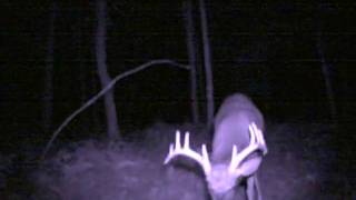 10 point buck 5.AVI