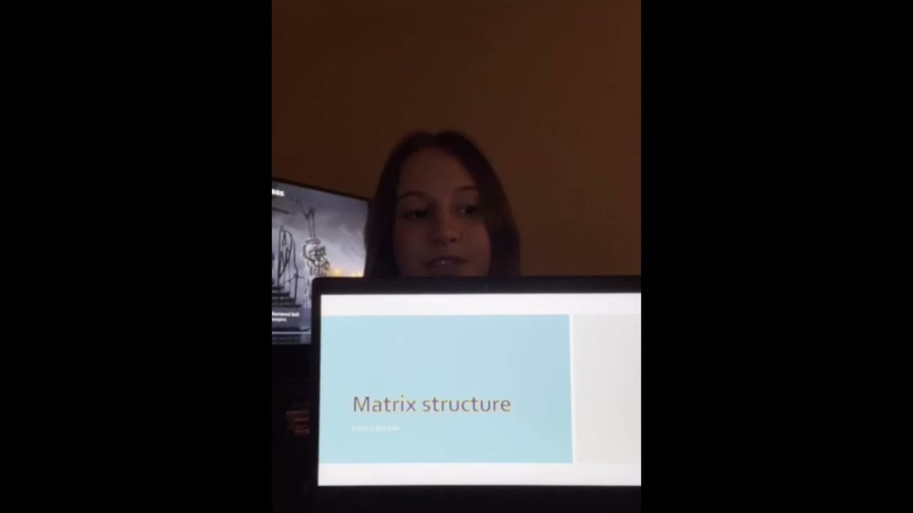 Aice Travel and Tourism corporate structure. YouTube