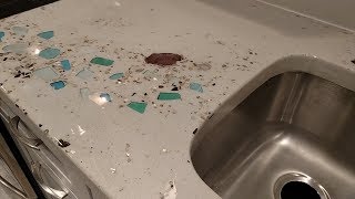 Concrete Top With Seashell N Glass Trail Workflix S2-E8