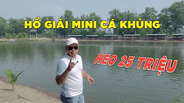 Review Hồ Câu Cá Giải Mini 20 Tấn Cá | Hồ Câu Cá Đại Hải Tân Uyên Bình Dương | Chung Nguyễn Fishing