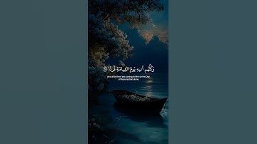 إستخدمو الصوت ♥️ تلاوة خاشعة تهز القلب للقارئ عبد الرحمن مسعد