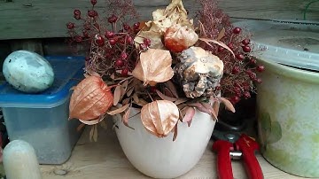 LG Nexus 4 macro Video Test 1080p