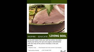 How to Grow Cannabis Organically: Living Soil