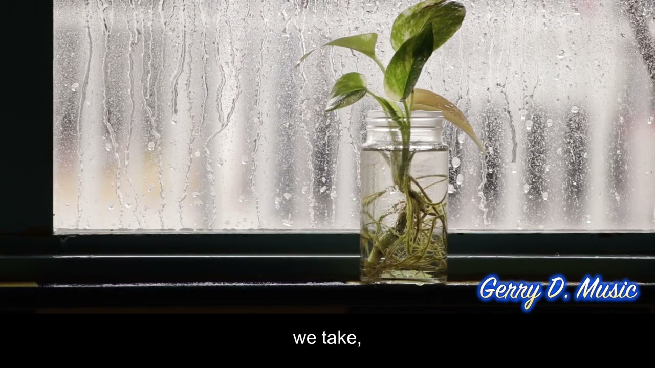 Forever In Our Hearts