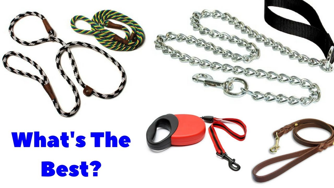 different kinds of dog harnesses