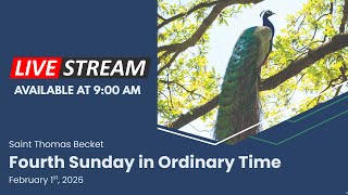 4th Sunday in Ordinary Time  - February 1st, 2026