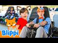 Blippi & Meekah's Pawesome Animal Race 🦊