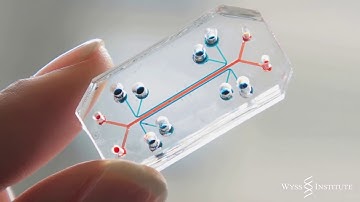 Introducing: Organ Chips