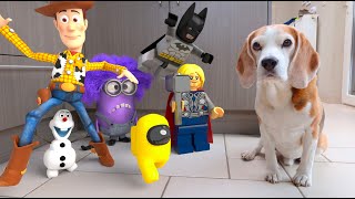 Animations in Real Life Compilation : Fall Guys , Among Us , Angry Birds , Louie The Beagle