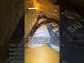 Rescue efforts ongoing after 7 villagers trapped in Laos cave