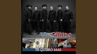 Video thumbnail of "Riley y Los Gilitos - Te Quiero Mas"