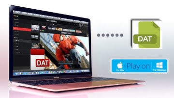 How to Play and Convert DAT DAV Files to MP4 on Mac and Windows