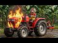 Monkey Farmer Drives a Tractor to Harvest Bananas - Engine Trouble Turns into Disaster!