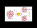 Unlocking the Nuclear Power of the Atom