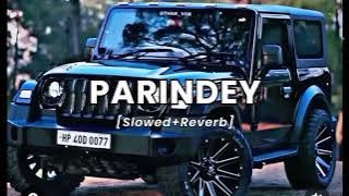 PARINDEY [ Slowed   Reverb ] Abreeq Alam