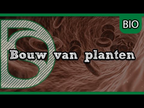 Video: De Heilzame Werking Van Planten. Deel 1