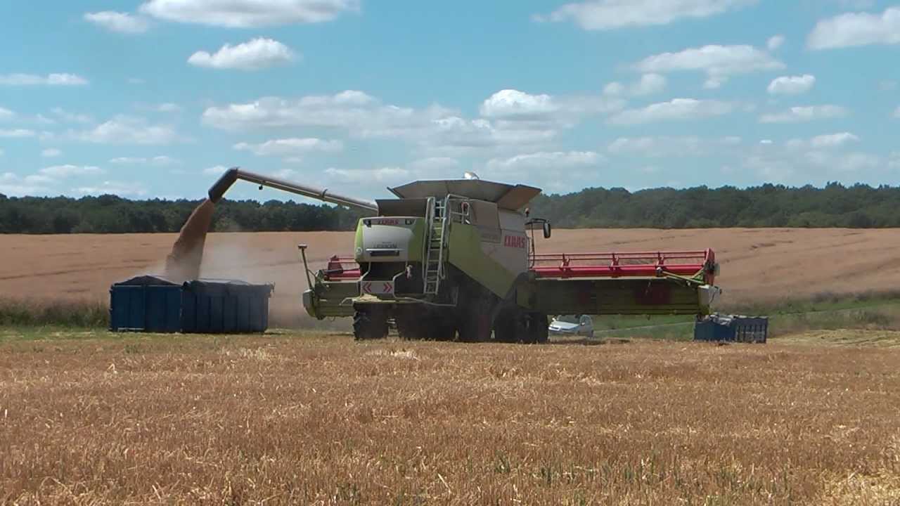 Moisson 2011 Claas Lexion 600 Terra-Trac V1200 - barley harvest
