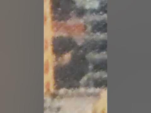 суибиди туалет в Америке на картинке - YouTube