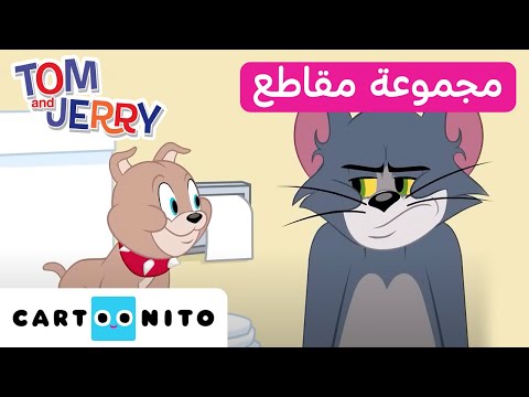 توم وجيري مجموعة من المقاطع المميزة مع تايك كارتونيتو Tom And Jerry 