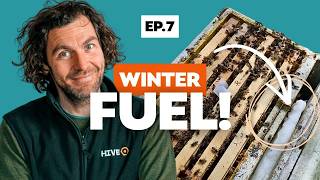 🐝 The Overwintered Nuc System - Episode 7 - Fondant Feeding and Mid-August Progress Check