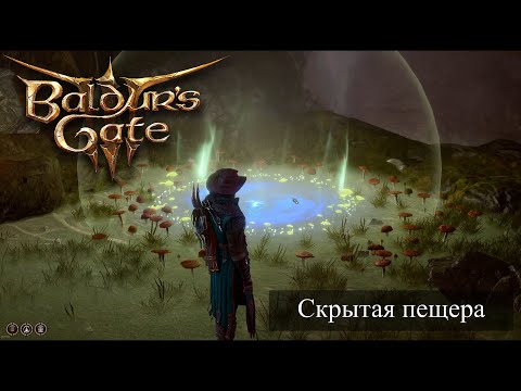 Baldur's Gate 3 Загадка грибы на стене. Скрытая пещера в Подземье