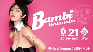 【渡辺万美】Red Dragon 14周年アニバーサリーイベント【第6弾】