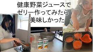 健康野菜ジュースでゼリーを作ってみたら美味しかった　Vlog風　ASMRかな