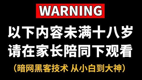 【第一集就很刑】暗网黑客技术；手把手教你从入门到入狱，全程干货无废话/黑客攻防/web安全/信息安全/代码审计