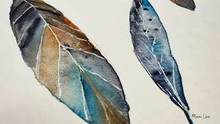 Want to lighten up Let’s paint feathers Easy and Relaxing watercolorpainting epidemicsound