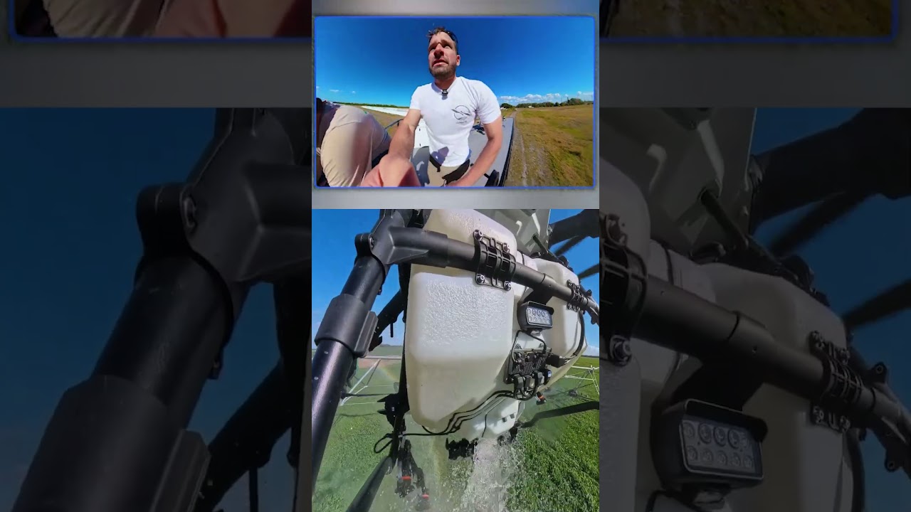 Mu Sc Trong Ting Anh Tienganh Tienganhcoban Tienganhgiaotiep Tienganhthatde - Video