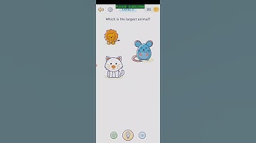 SMART BRAIN CLASSIC CHALLENGES LEVEL 1 WALKTHROUGH WITH COMMENTARY