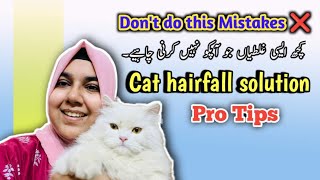 Billi ke baal girne se kaise roke || Stop persian cat hair fall problem || Cat hair loss treatment