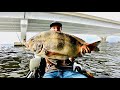 BRIDGE FISHING FOR MASSIVE SHEEPSHEAD USING LIVE CRABS AS BAIT!!! (SHEEPSHEAD FISHING)